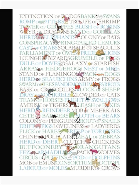 "Animal Collective Nouns " Poster for Sale by AlicePeekert | Redbubble