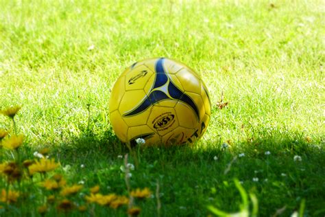 Free Images : grass, sport, lawn, meadow, play, green, soccer, rest, yellow, sports equipment ...