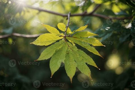 leaf. AI generated 29044324 Stock Photo at Vecteezy