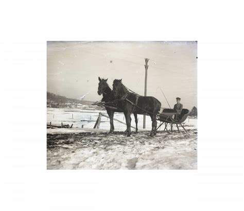 Antique Horse Drawn Sleigh Photograph - All The Decor