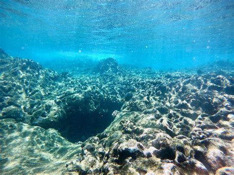 Slaughterhouse Beach Snorkeling | Boss Frog's Hawaii