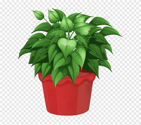 Pot Bunga Taman Hias, pot bunga, daun, bunga png | PNGEgg