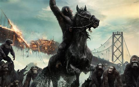 Caesar Planet Of The Apes Wallpaper