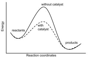 29.8: A Catalyst Affects the Mechanism and Activation Energy ...