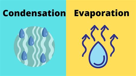 Evaporation vs Condensation - YouTube