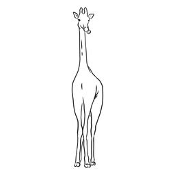 Giraffe Neck Tall Long Ossicones Sketch PNG & SVG Design For T-Shirts