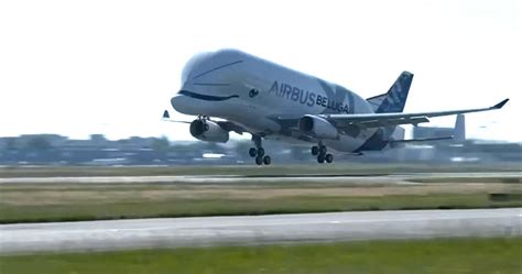 Take a look at the new Airbus Beluga XL as it flies to Britain ...