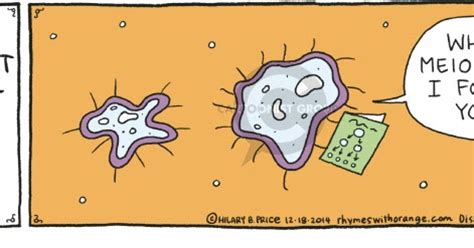 World of Biochemistry (blog about biochemistry): Cartoon about meiosis