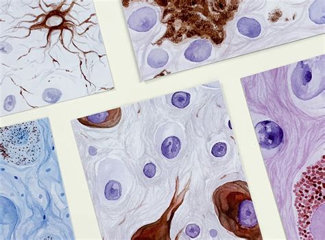 Neuropathology Postcard Set (5 cards) - LamellipodiumArt