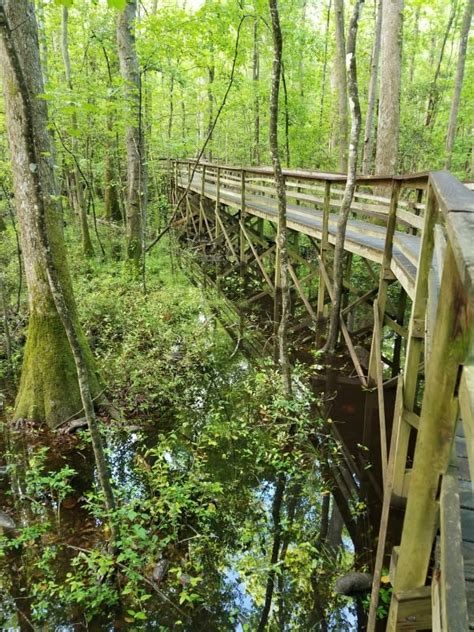 7 Great South Carolina National Parks | Park Ranger John