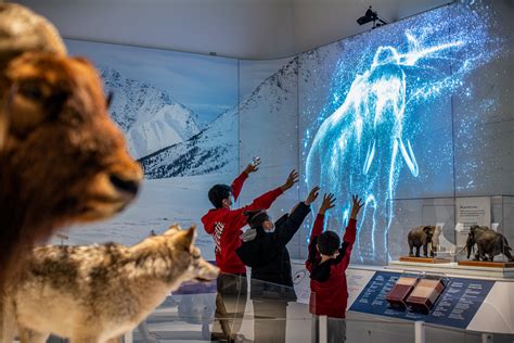 Interactive installations at the Canadian Museum of Nature | Moment Factory