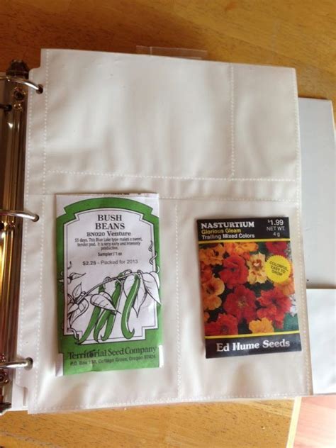 Simple Seed Storage Binder | Seed storage, Seeds, Produce gardening