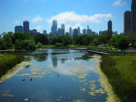 Lincoln Park: A Legacy on the Lakefront — Julia Bachrach Consulting