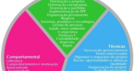 709720: "The Eye of Competence" do IPMA Competence Baseline - ICB