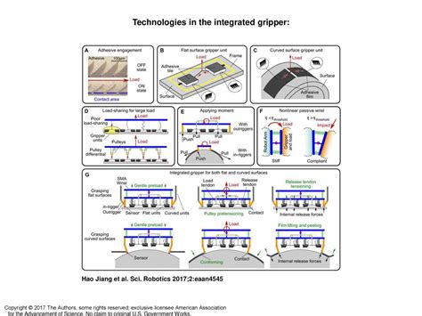 Technologies in the integrated gripper: - ppt download