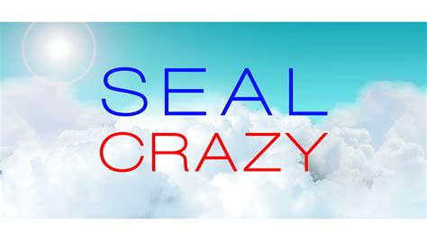 Seal "Crazy" Lyric Video - YouTube