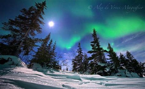 Magnificent Northern Lights Full Moon Photo - Churchill Polar Bears