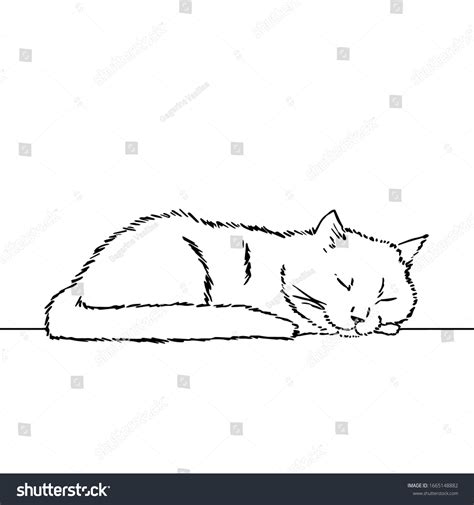 Sleeping Cat Line Drawing Images: Browse 4,611 Stock Photos & Vectors Free Download with Trial ...