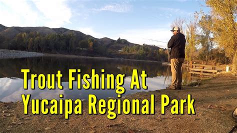 Trout Fishing At Yucaipa Regional Park - YouTube