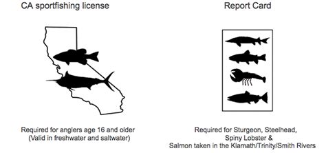 A Guide to Purchasing Your California Fishing License | US Harbors