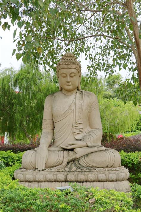 Buddha Statue Under Bodhi Tree Stock Image - Image of statue, religion: 106999287