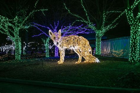 Wild Lights at the Detroit Zoo | Check-It-Off Travel | Custom Travel Planning