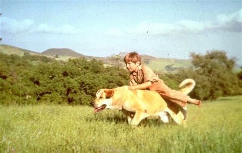 Kevin Corcoran Dead: 'Old Yeller' Actor Was 66