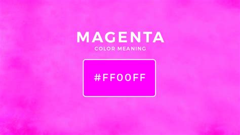 Magenta Color Meaning: What is the Meaning of the Color Magenta?