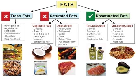 Does Eating Fats Make You Fat?