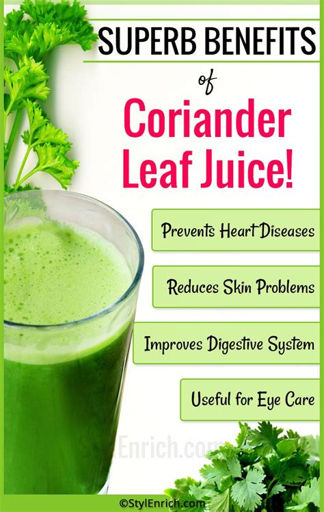 Benefits Of Coriander And Cucumber Juice - health benefits