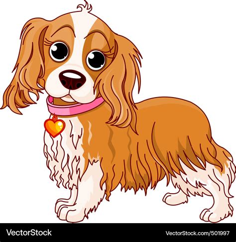 Cavalier king charles spaniel Royalty Free Vector Image