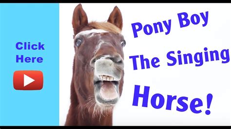 Pony Boy the singing horse - YouTube