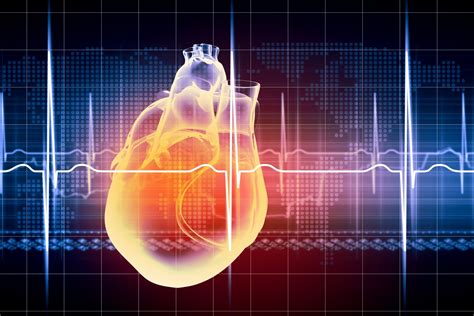 Heart Rhythm Diagnosis and Treatment - Clearwater Cardiovascular Consultants