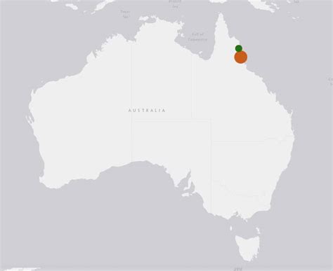 The Tree-Kangaroo and Mammal Group :: Tree-kangaroos in Australia & PNG