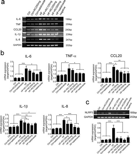 The expression of IL-17 related cytokine and chemokines in HF model ...