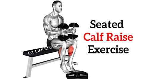 The Seated Calf Raise: A Step-by-Step Guide