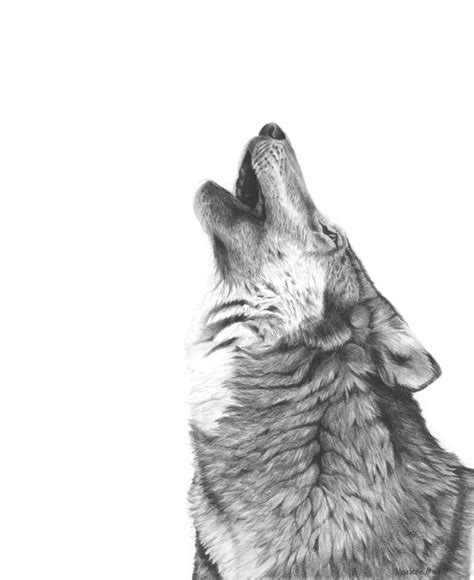 Wolf art print, wildlife art, black and white drawing, gift for dad, wolf wall art, howling wolf ...