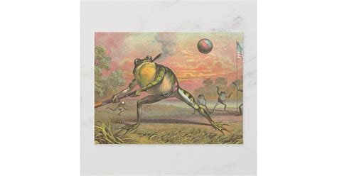 Baseball Frog Postcard | Zazzle