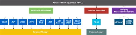 Consider Guideline-Recommended Biomarker Testing as an Integral Component of NSCLC Care ...