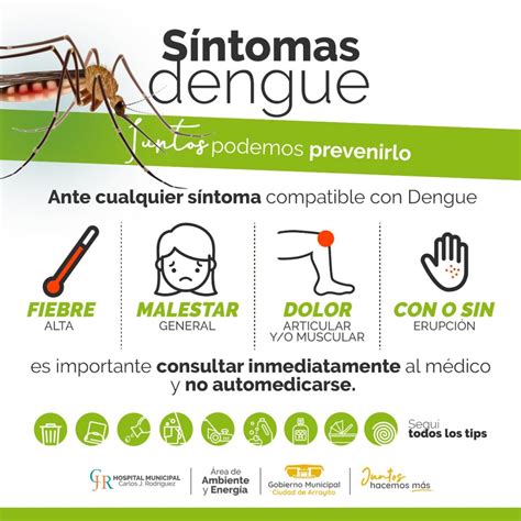 ELIMINÁ POTENCIALES CRIADEROS DE MOSQUITOS Y PREVENÍ EL DENGUE – Ok Fm Arroyito