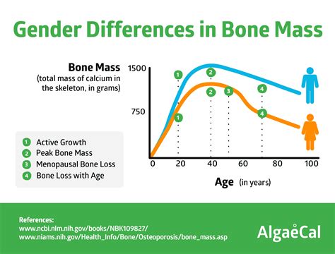 Bone Mass Chart For Men