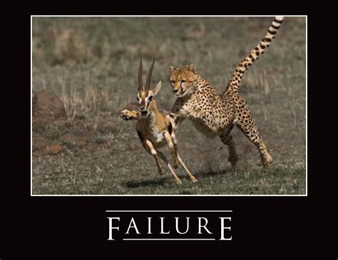 Funny Quotes About Failure. QuotesGram