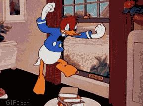 donald duck gif on Tumblr