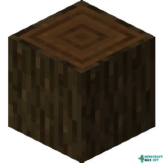 Dark Oak Log | How to craft dark oak log in Minecraft | Minecraft Wiki