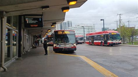 TTC bus stop in Toronto editorial image. Image of transit - 247509430