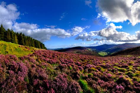 Best Hill Walks in Wicklow | Walking and Hiking in Wicklow