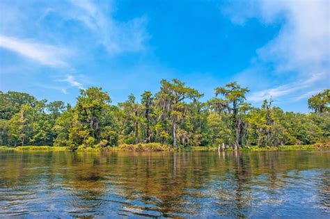 Wakulla Springs: A natural wonderland - Discovering Bulloch