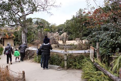 Zoos in Japan: Tennoji Zoo (Osaka Municipal Tennoji Zoological Gardens)