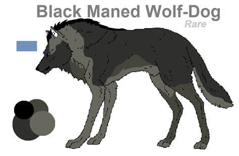 Black Maned Wolf-Dog adopt [OPEN] by BlizzardHaze on DeviantArt