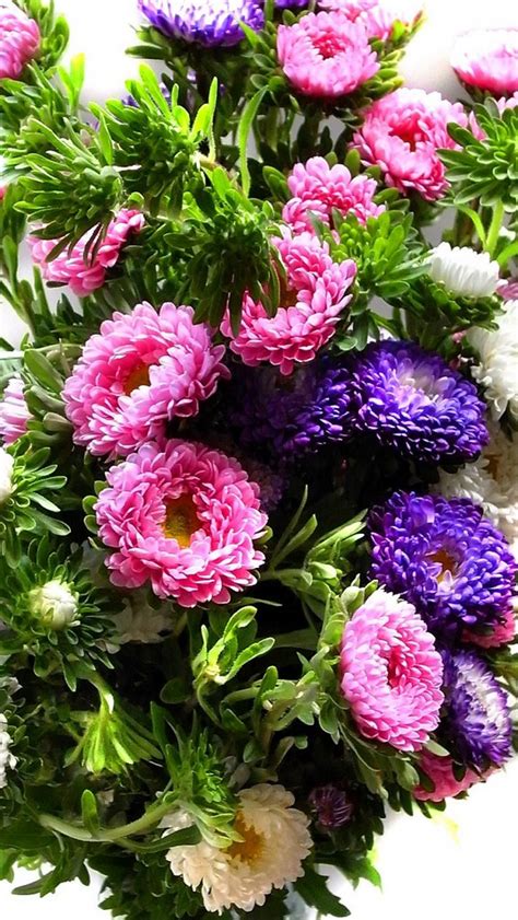 chrysanthemum_bouquet_bright_colorful_28312_640x1136 | Flickr